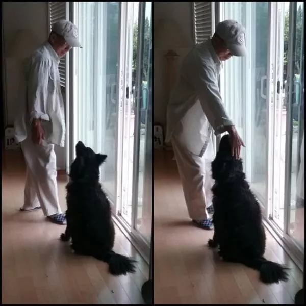 Lamour des animaux