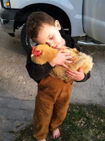 Love of animals - #25 