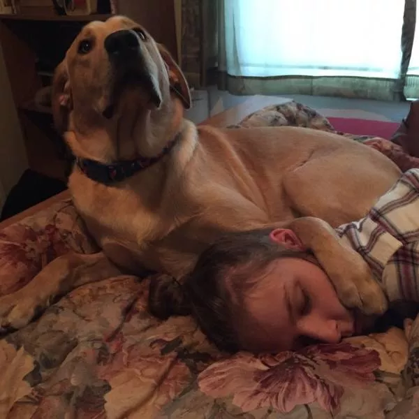 Love of animals - #26 