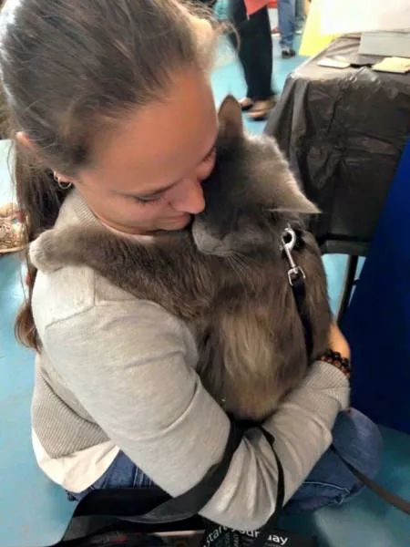 Love of animals - #27 