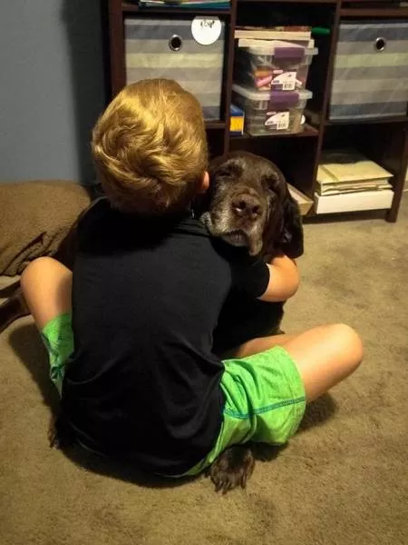 Love of animals - #29 