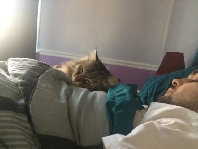 Love of animals - #4 