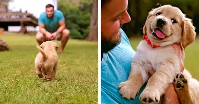 Love of animals - #5 