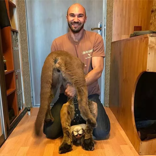Love of animals - #6 