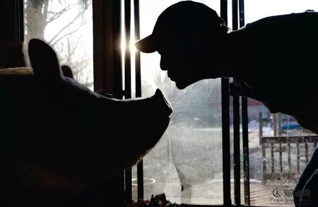 Love of animals - #7 