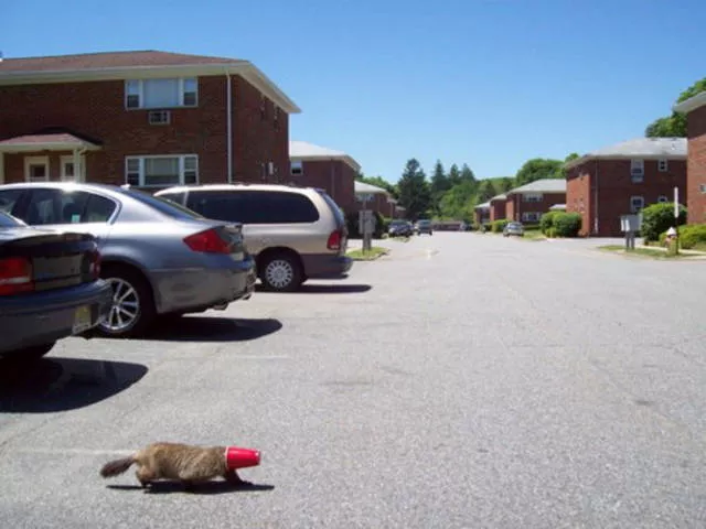 Surely youve had these embarrassing moments - #11 