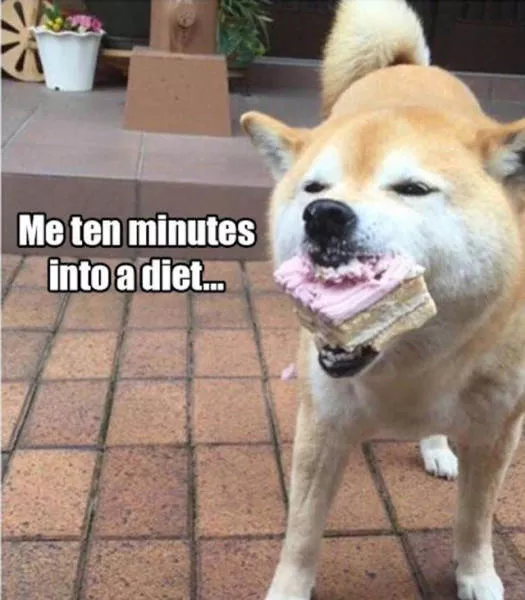 Surely youve had these embarrassing moments - #14 