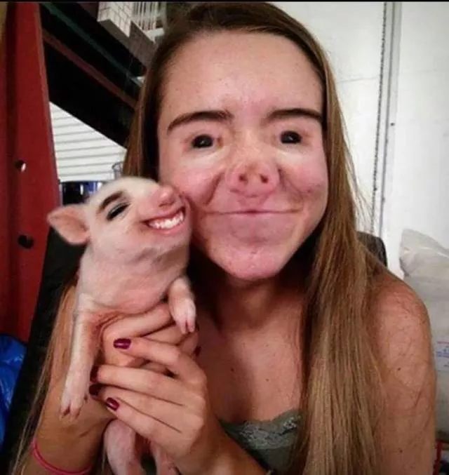 Picdump 447 - #13 
