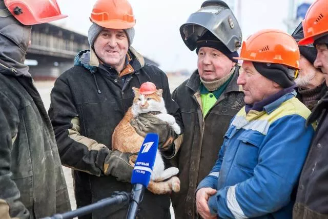 Picdump 447 - #15 
