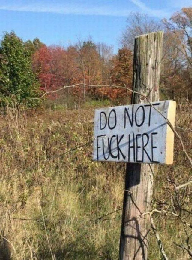 Picdump 447 - #33 