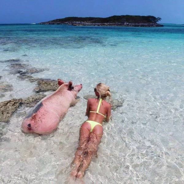 Picdump 447 - #36 