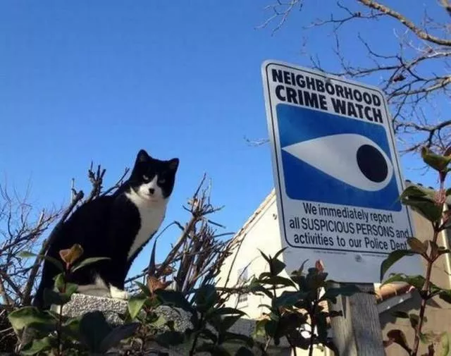 Picdump 447 - #38 