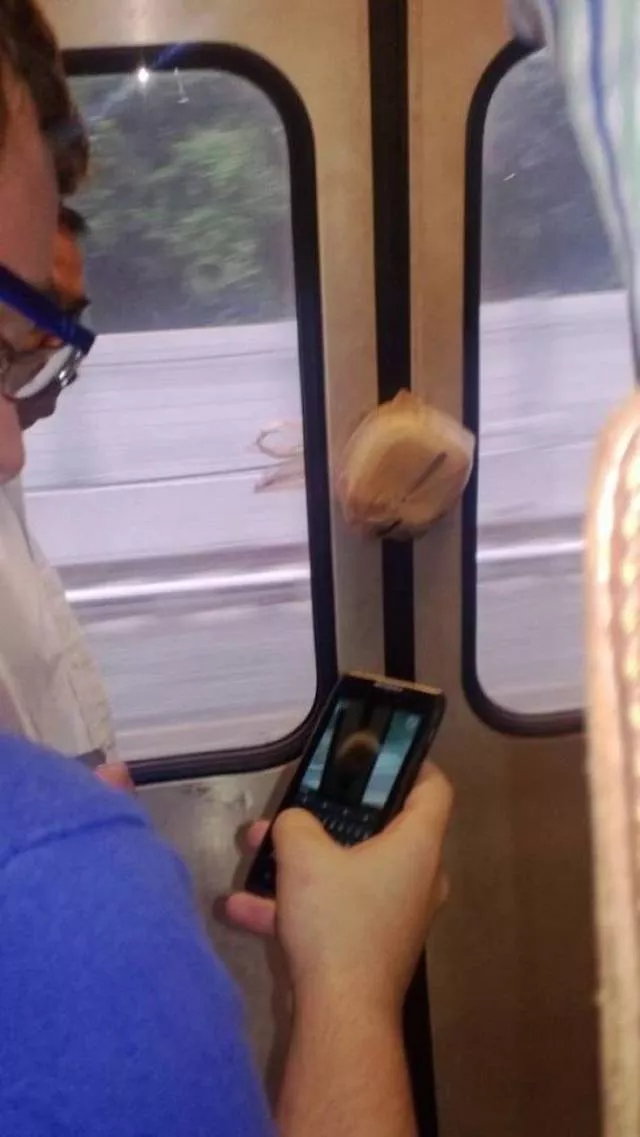 Picdump 447 - #67 
