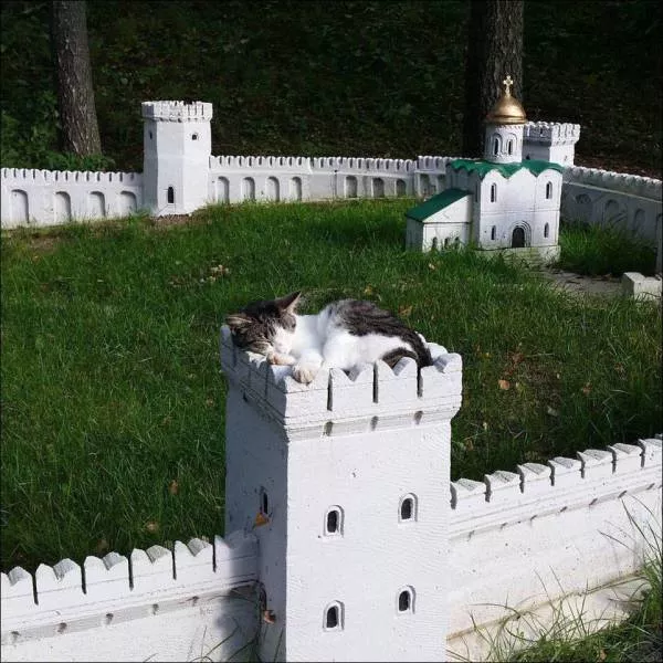 Picdump 447 - #84 