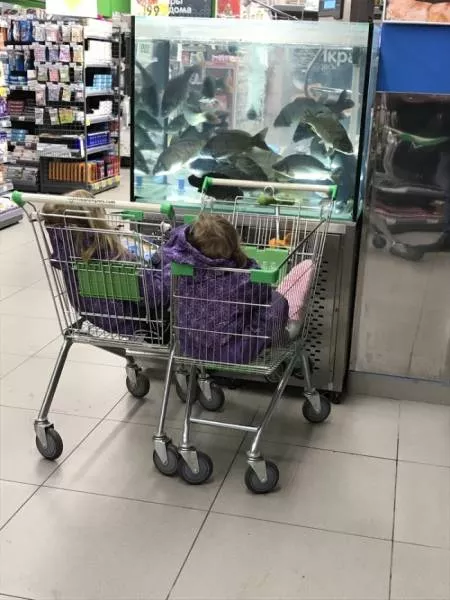 Intense creativity - #15 