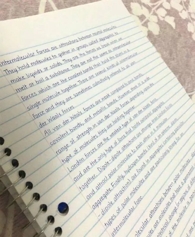 They write by hand better than a machine - #13 