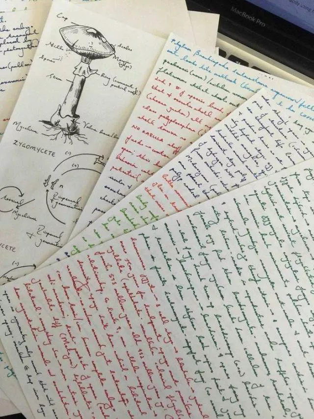They write by hand better than a machine - #24 