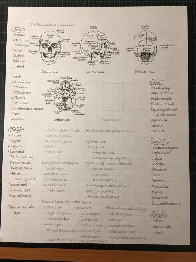 They write by hand better than a machine - #4 