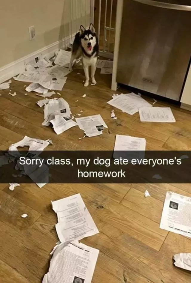 Picdump 448 - #50 