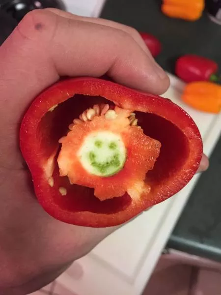 Picdump 449 - #2 