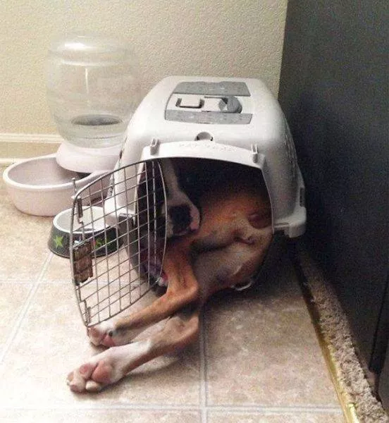 Picdump 449 - #28 