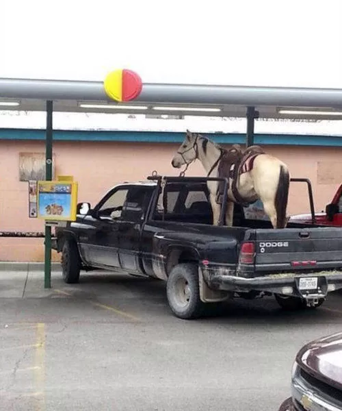 Picdump 449 - #32 