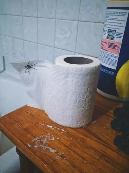 Picdump 449 - #38 