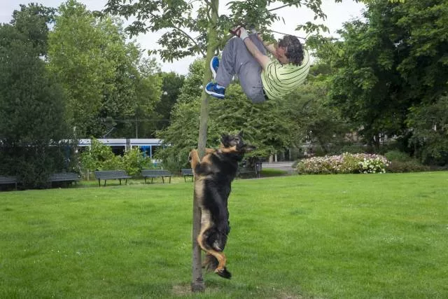 Picdump 450 - #100 