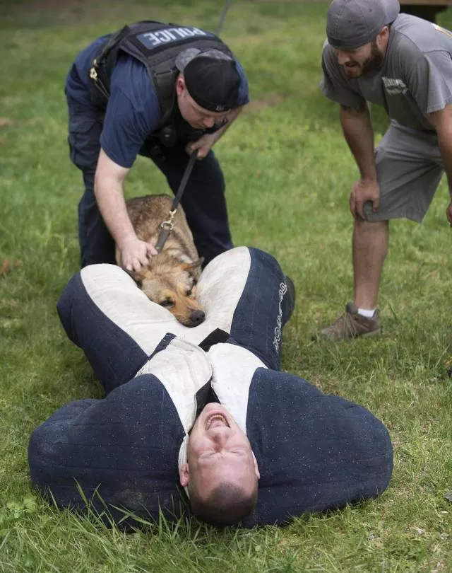 Picdump 450 - #2 