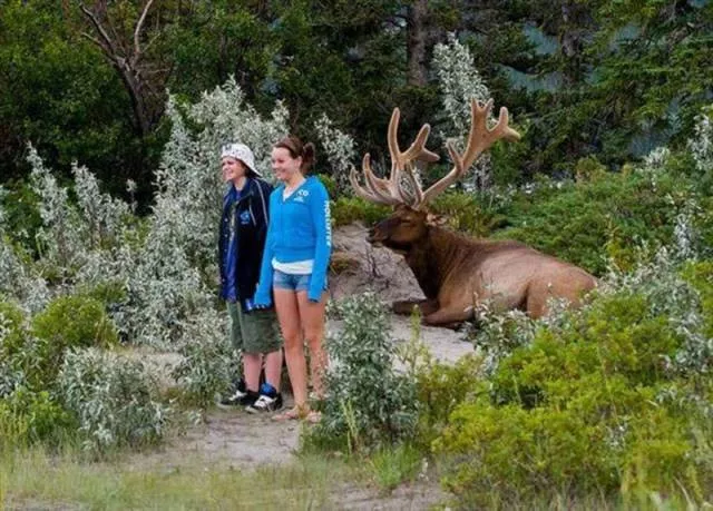 Picdump 450 - #29 