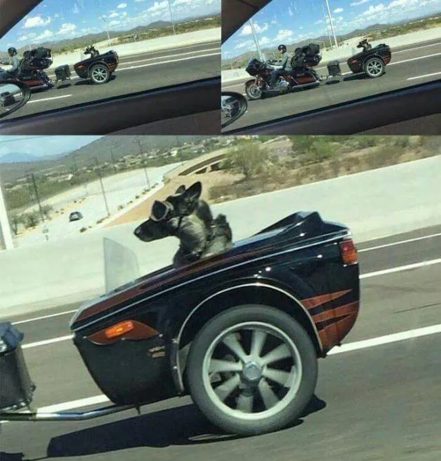 Picdump 450 - #34 