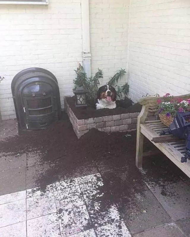 Picdump 450 - #38 