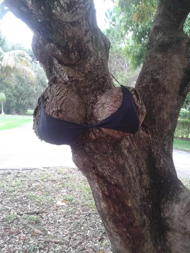 Picdump 450 - #49 