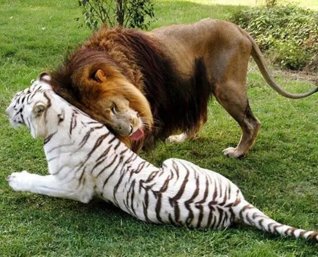 Picdump 450 - #51 
