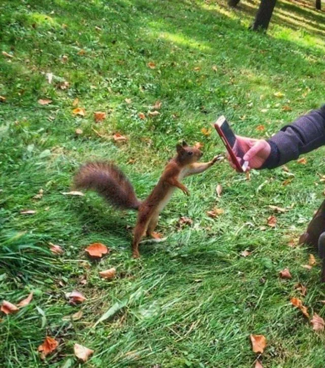 Picdump 450 - #66 