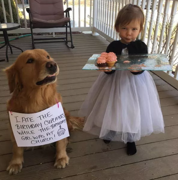 Picdump 451 - #25 
