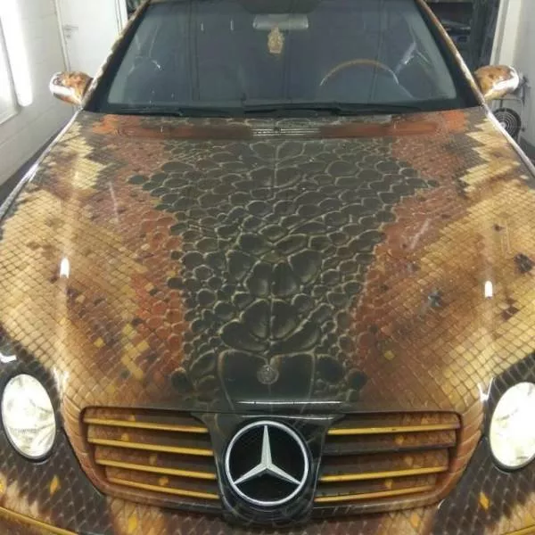 Beautiful drawings painted on cars - #4 