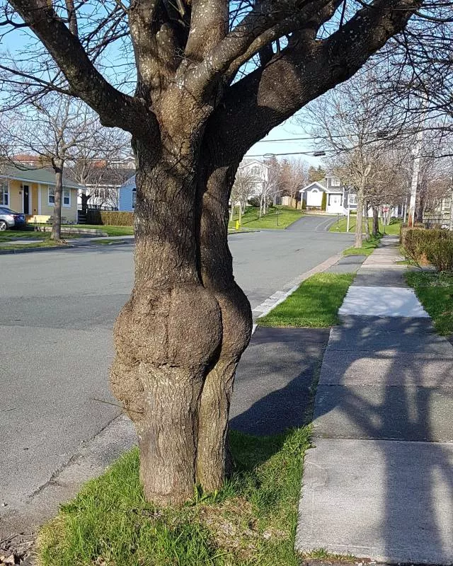 Picdump 452 - #21 
