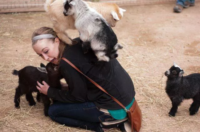 Picdump 452 - #30 