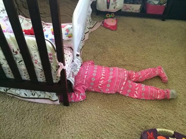 Hide and seek experts - #10 