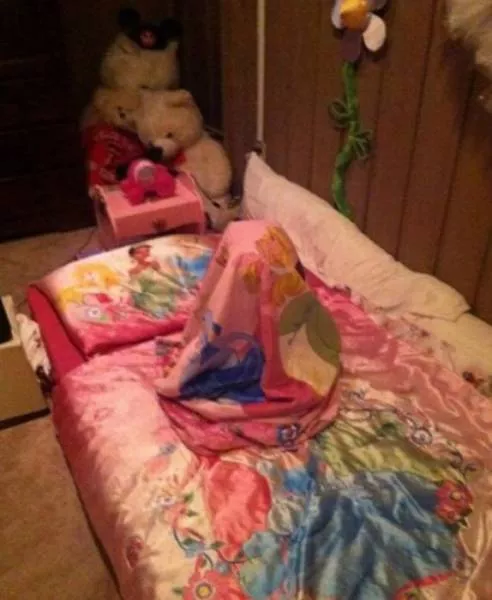 Hide and seek experts