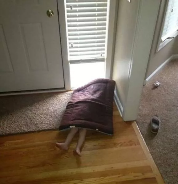 Hide and seek experts - #16 