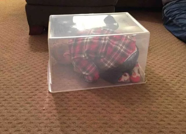 Hide and seek experts - #5 