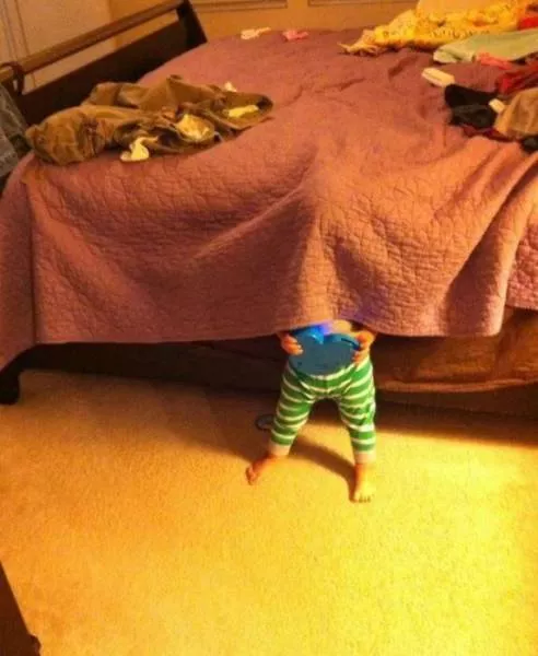 Hide and seek experts - #6 