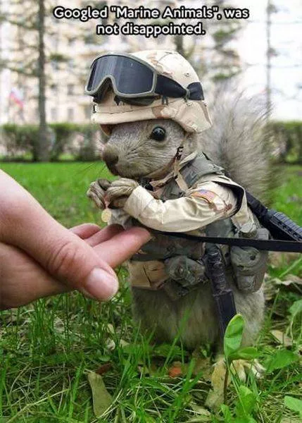 Picdump 76 - #25 