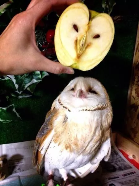Picdump 76 - #34 