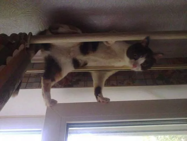 Picdump 76 - #35 