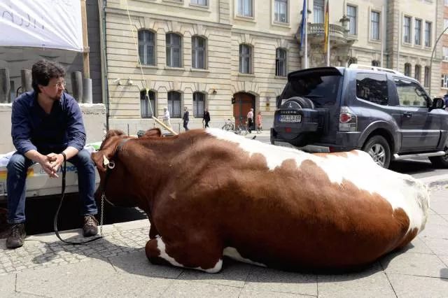 Picdump 76 - #36 