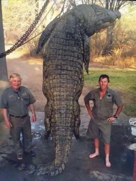 Picdump 76 - #37 