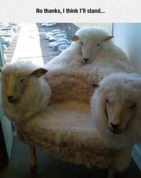 Picdump 76 - #43 